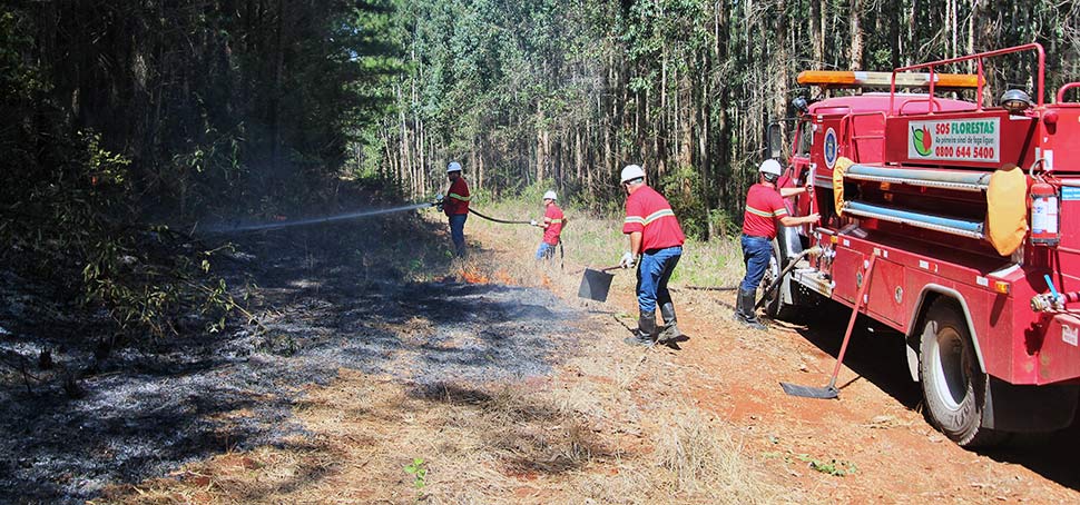 Corpo de Bombeiros alerta sobre riscos de incêndios florestais
