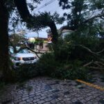 O temporal e seus prejuízos na capital paranaense
