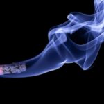 Dia Mundial sem Tabaco: Conheça a nicotina, a grande vilã que mata milhões de pessoas por ano