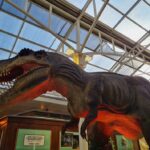Shopping Estação inaugura a atração Dino’s Towers, com dinossauro mecatrônico gigante