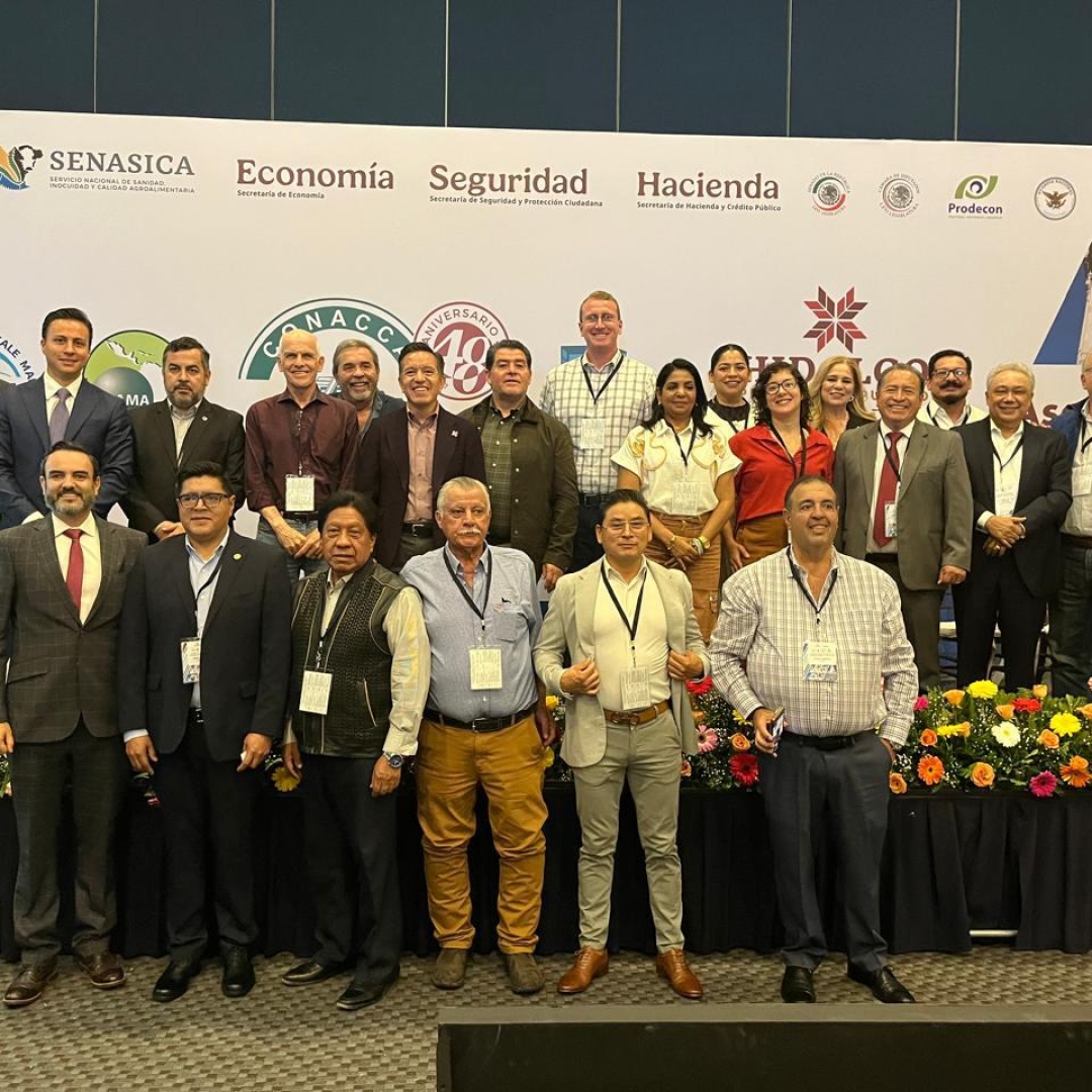 Ceasa Paraná discute abastecimento na América Latina