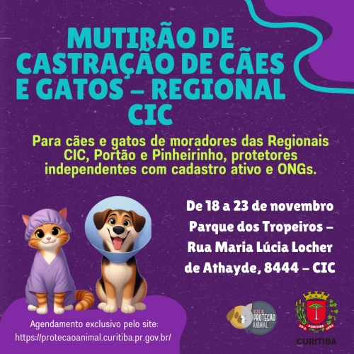 Prefeitura de Curitiba oferece mais 2.400 vagas para castração gratuita de cães e gatos agora em novembro