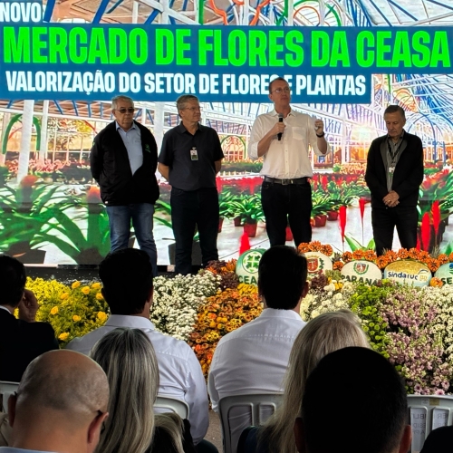 Novo Mercado de Flores: Transformação e Modernização na Ceasa Curitiba