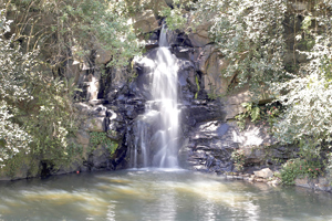 Novo Parque em Curitiba no Pilarzinho