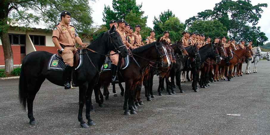 Operação Centauro do Regimento da Polícia Montada do PMPR