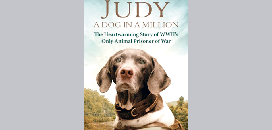 Livro: Judy - A dog in a million