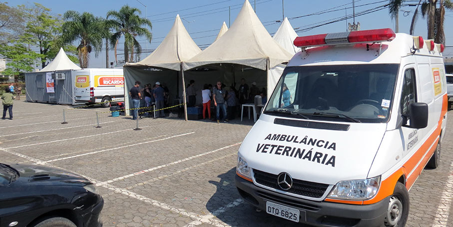 Castração gratuita de cães e gatos no Pinheirinho