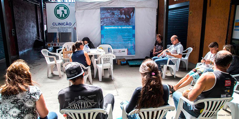 Regional Portão abre calendário das castrações gratuitas de cães e gatos