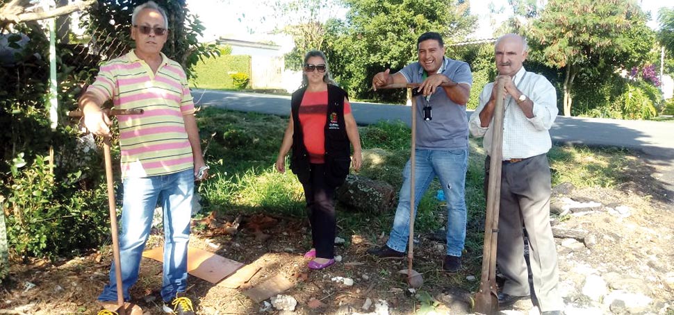 Plantio de árvores em frente da escola