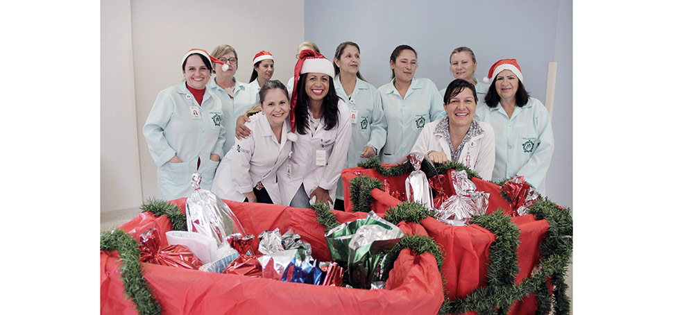 Voluntários do Hospital do Idoso lançam campanha Árvore Solidária