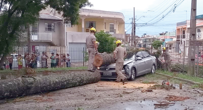 Tempestade derruba pinheiro que destrói carro no Xapinhal