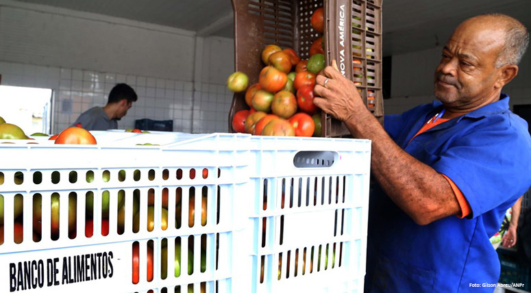 Ceasa reaproveita 4,6 mil toneladas de alimentos por ano