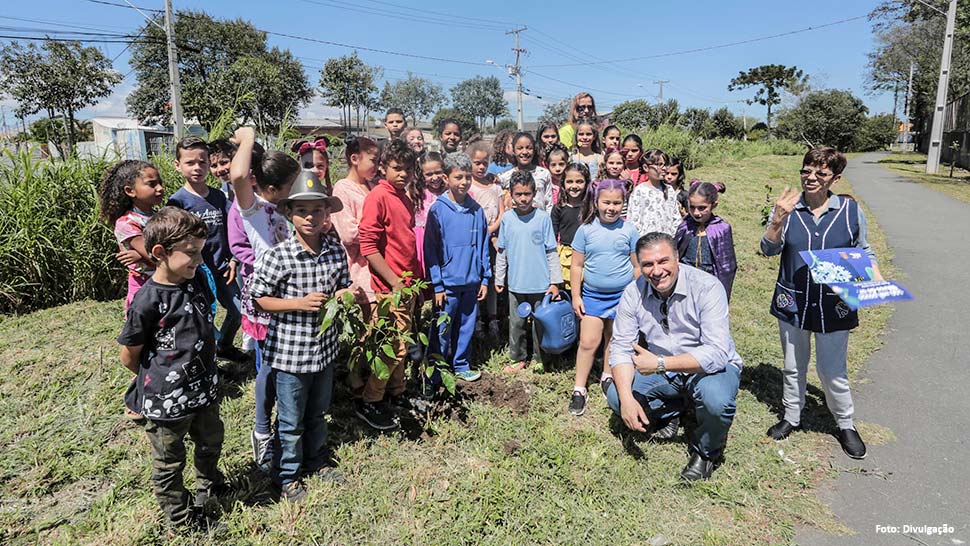 Curitibinhas plantam mudas nativas no Pinheirinho