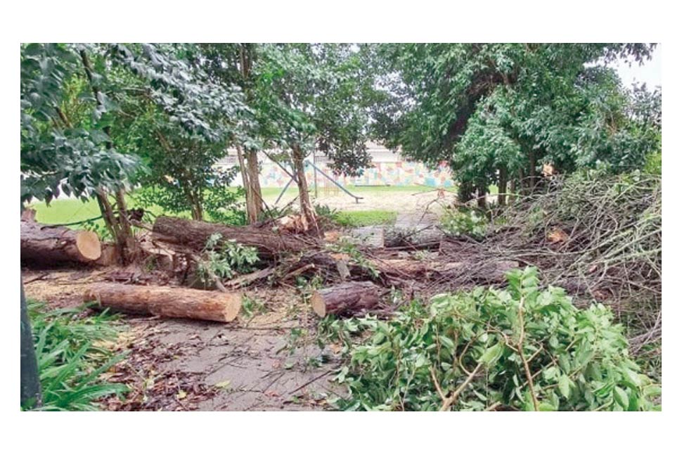 Chuva e ventos de janeiro e suas consequências em Curitiba