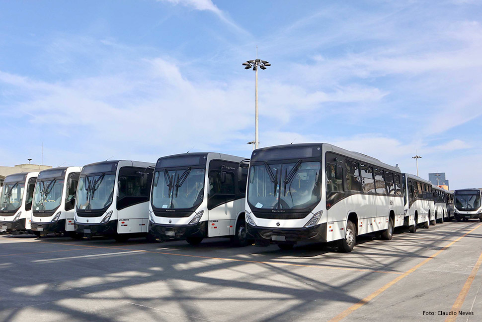 Ônibus são embarcados em operação inédita no Porto de Paranaguá