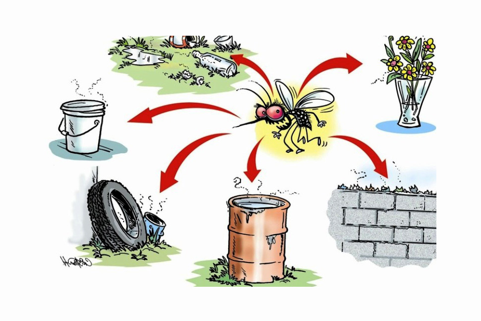 Dengue com 106 casos e zika ainda precisam de atenção