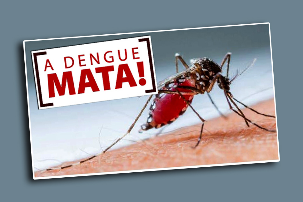 Paraná tem 1.946 casos de dengue e combate à doença continua como prioridade