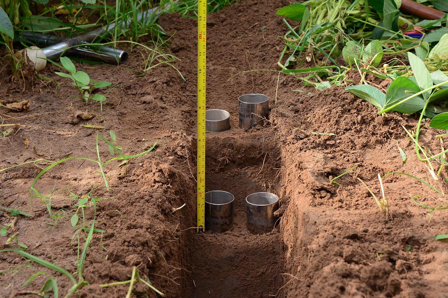 Mais de 4 mil hectares de desmatamento foram evitados com a realização do Programa de Serviços Ambientais Soja Brasil