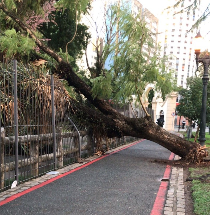 Estragos em vários bairros de Curitiba causados por ciclone extratropical