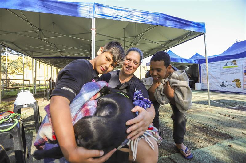 Mutirões de castração diminuem abandono de animais nas ruas de Curitiba