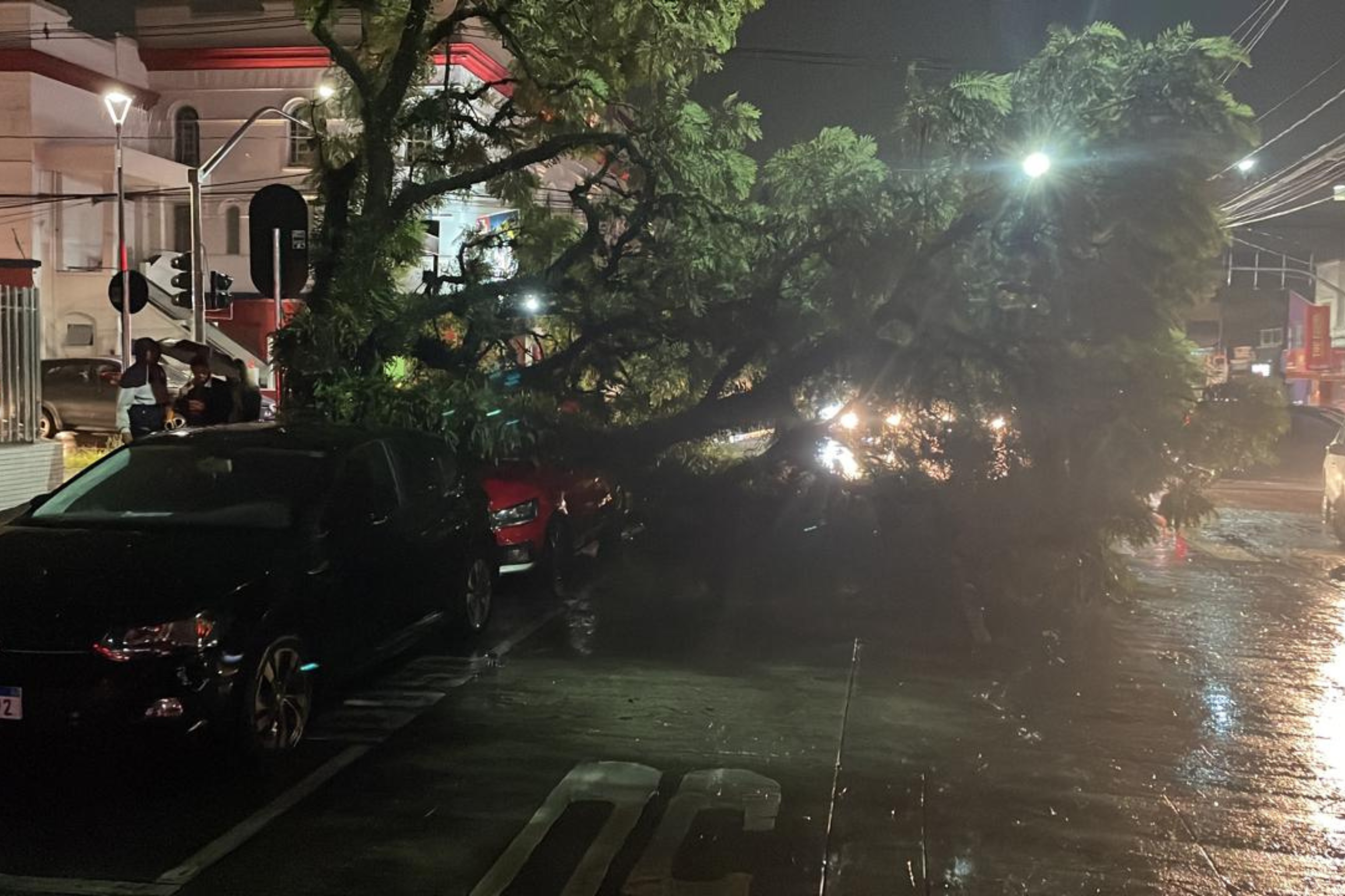 Problemas são registrados em 14 bairros de Curitiba após temporal durante a madrugada