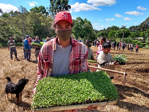 Agroflorestas urbanas: produção de alimentos saudáveis e geração de renda nas cidades