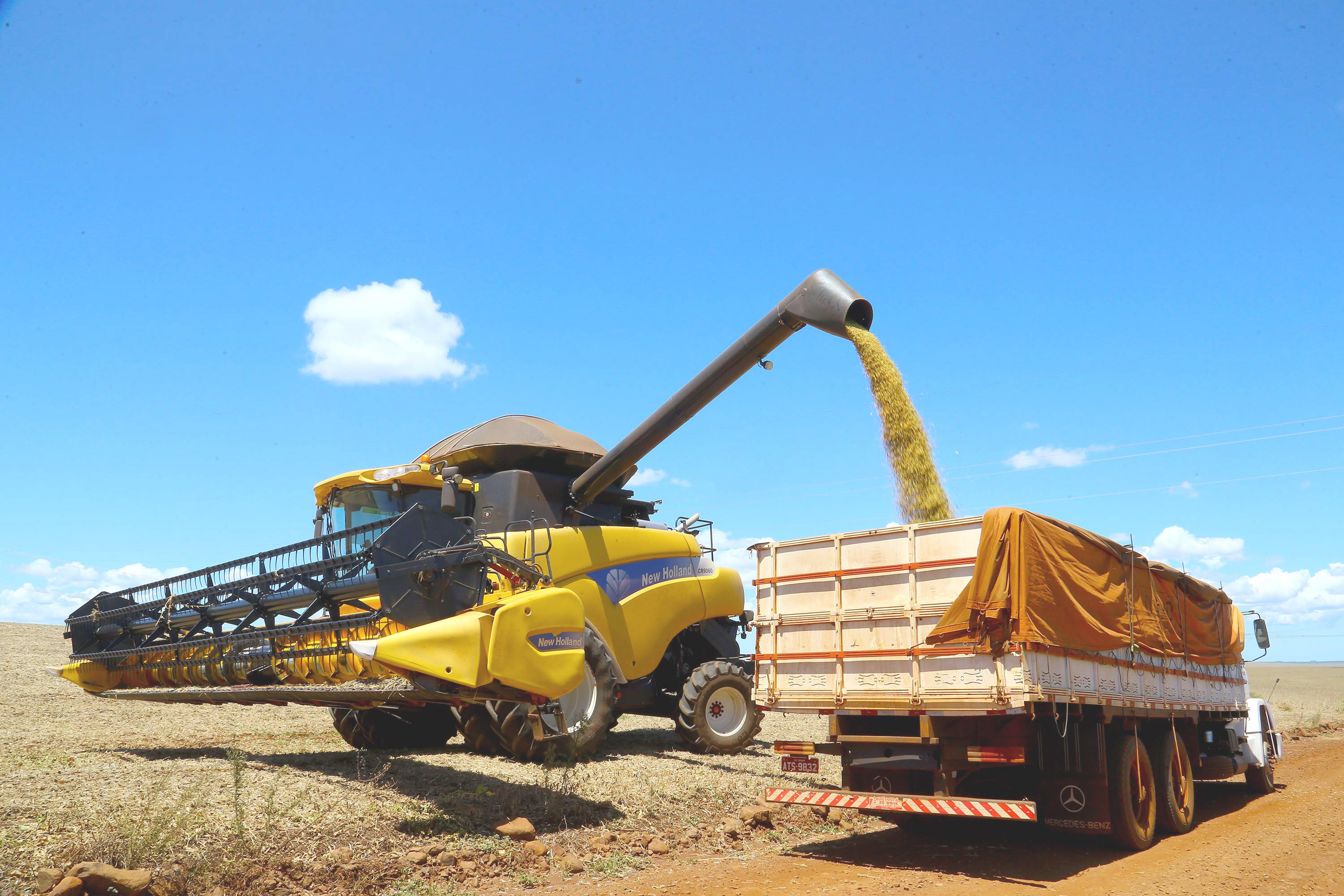 Exportações do agro paranaense cresceram 35,6% até novembro, acima da média nacional