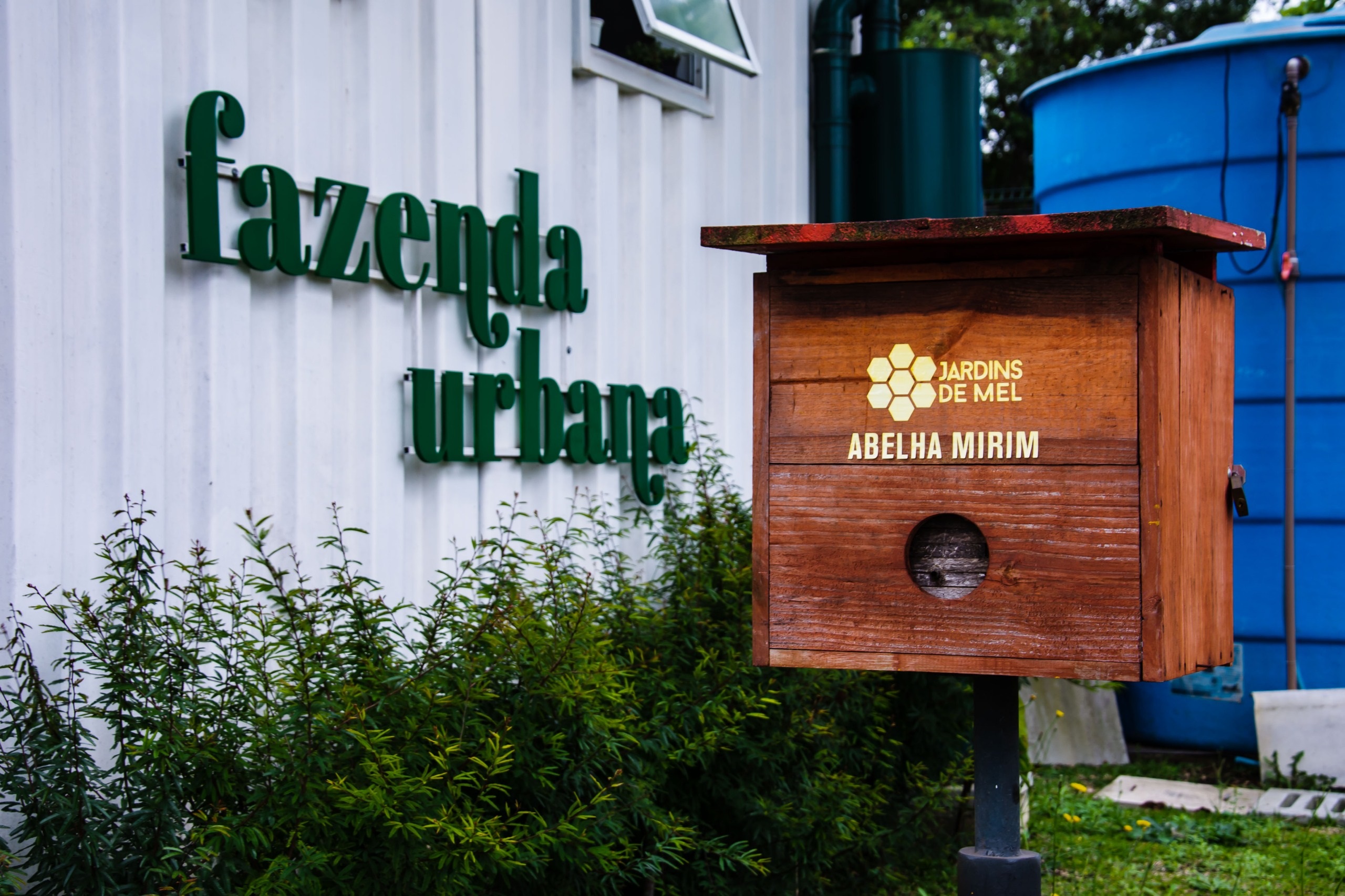 Curitiba celebra o Dia Mundial das Abelhas com o programa Jardins de Mel