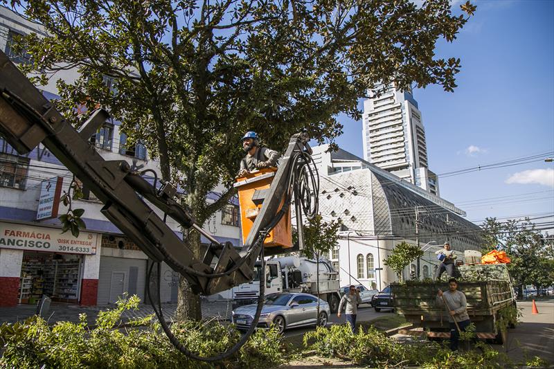Trânsito na rua Inácio Lustosa sofre alteração para poda de árvores