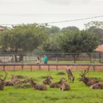 Zoológico Municipal de Curitiba: Um encontro com a natureza