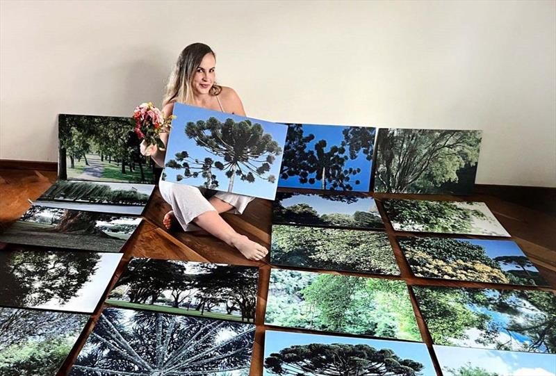 Beleza das árvores de Curitiba vira destaque em exposição fotográfica