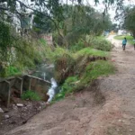 Educação ambiental: moradores de Curitiba vão participar de mutirão limpeza do Ribeirão dos Padilhas