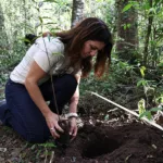 Instituto completa 40 anos e comemora plantando árvores em Curitiba