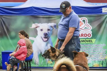 Mutirão para castração de cães e gatos chega a mais uma regional de Curitiba. Veja como se inscrever
