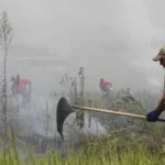 Incêndio provoca muita fumaça e assusta moradores de bairro em Curitiba