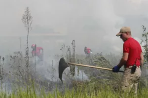 Incêndio provoca muita fumaça e assusta moradores de bairro em Curitiba